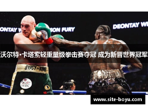 沃尔特·卡塔索轻重量级拳击赛夺冠 成为新晋世界冠军