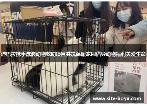 迪巴拉携手流浪动物救助项目共筑温暖家园倡导动物福利关爱生命