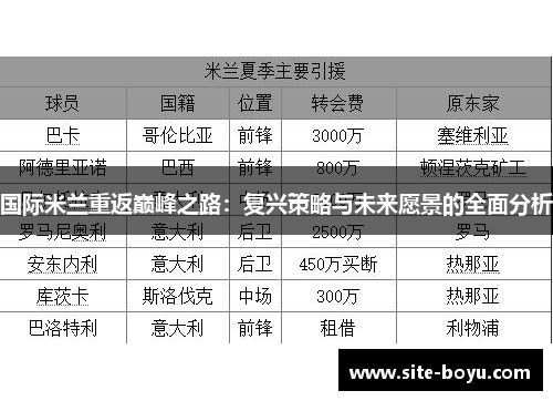 国际米兰重返巅峰之路：复兴策略与未来愿景的全面分析