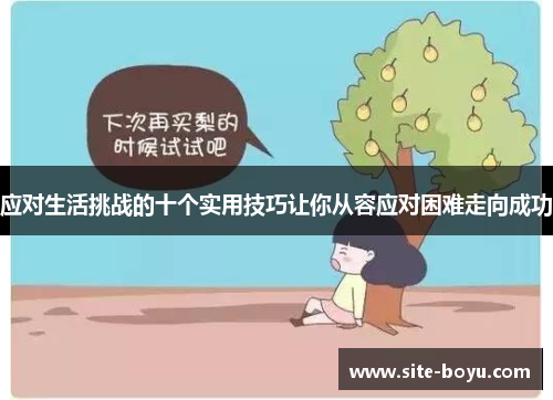 应对生活挑战的十个实用技巧让你从容应对困难走向成功